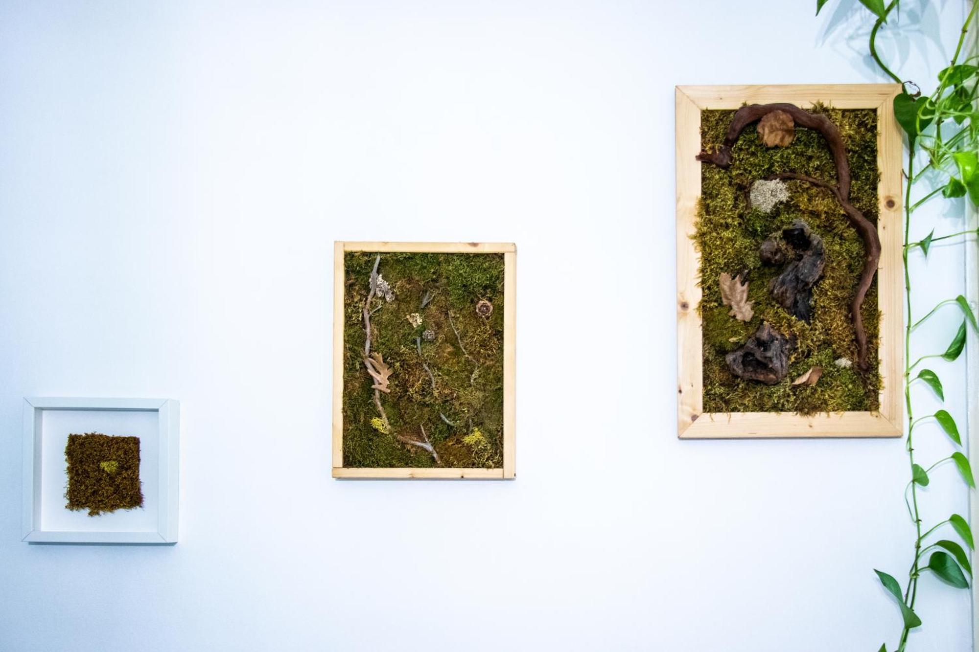 Carducci Green - Appartamento Monolocale Torino Dış mekan fotoğraf